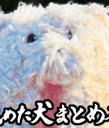 【フルで見れる】舐めた犬まとめ本 |
